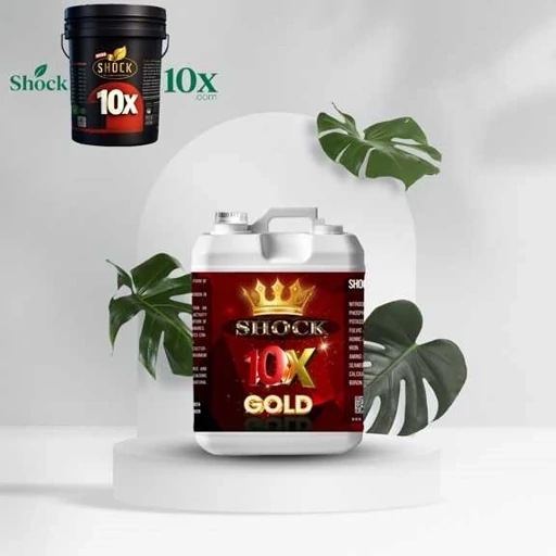ده ایکس گلد شوک 5 لیتری 10x gold کود کامل کود کامل
