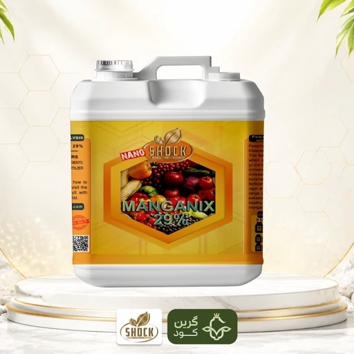 کود تخصصی منگنز شوک ، رفع زردی بین رگبرگ ها و تقویت فتوسنتز در گیاه
